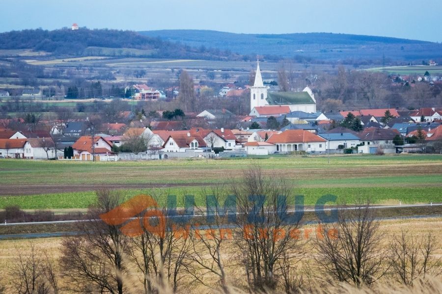 Burgenland Umzug